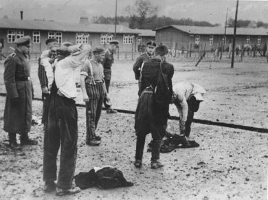 Essay on auschwitz concentration camp