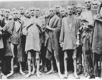 Image result for US freeing concentration camps